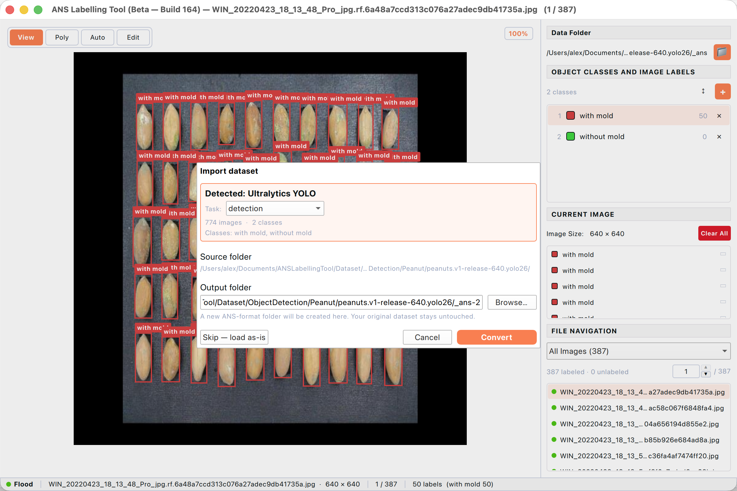 Import dataset dialog. The tool auto-detects the source format and proposes a new _ans folder.
